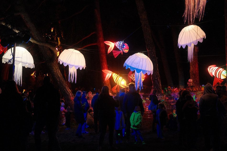 Byliście już w parku Sienkiewicza? Bajkowy świat Light Move Festival 2025 Łódź [ZDJĘCIA]