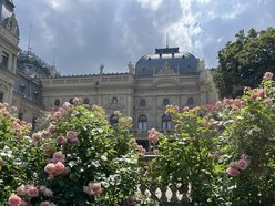 Co robić w weekend w Łodzi? Urodziny Orientarium, Dni Tańca, podwodna sesja i więcej