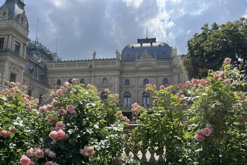 Co robić w weekend w Łodzi? Urodziny Orientarium, Dni Tańca, podwodna sesja i więcej