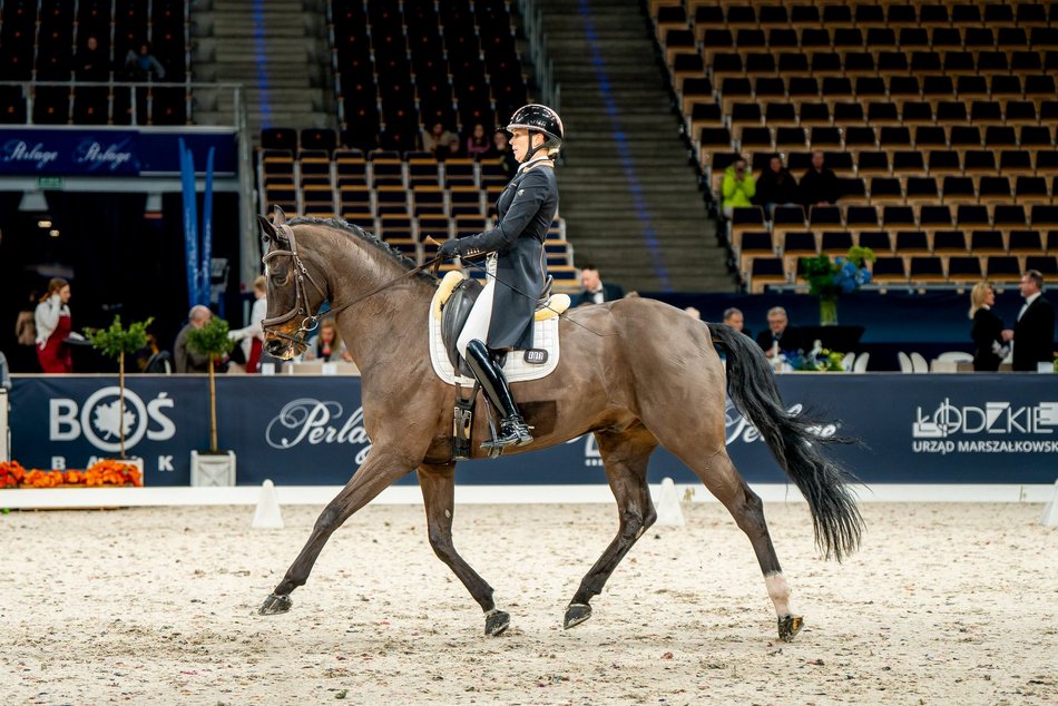 Łódź. Cavaliada Tour w Atlas Arenie w Łodzi wystartowała! Zobacz zdjęcia z pierwszego dnia zmagań