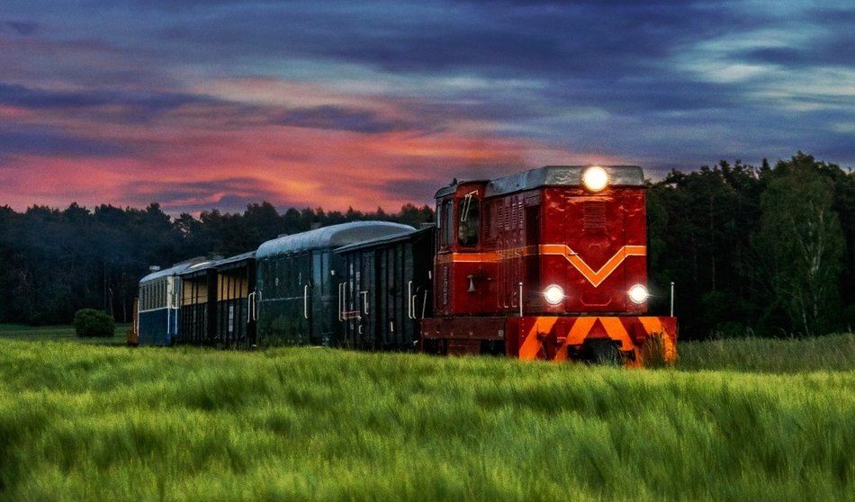 Łódź. TOP 10 miejsc w Łódzkiem na rodzinną wycieczkę. Dinozaury, safari i park linowy