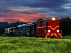 Łódź. TOP 10 miejsc w Łódzkiem na rodzinną wycieczkę. Dinozaury, safari i park linowy