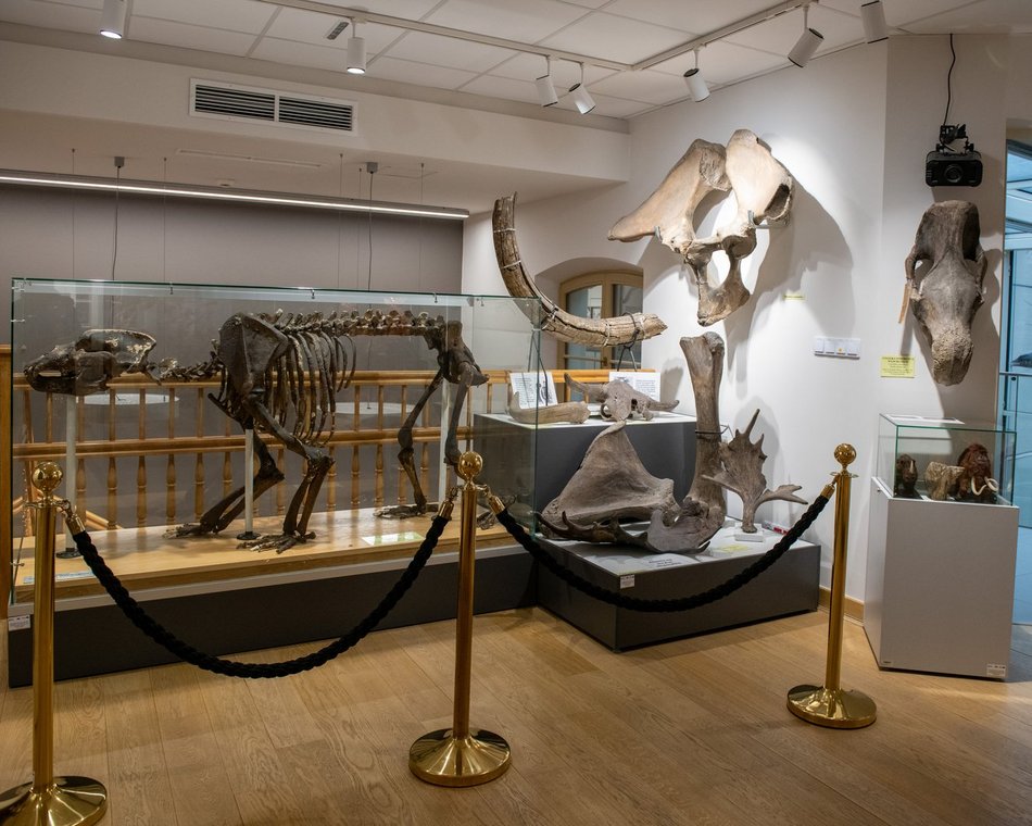 Łódź. Odkryj Muzeum Przyrodnicze w Łodzi. To niezwykły świat zwierząt, dinozaurów, tajemnic natury i przygód!