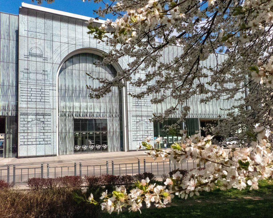 Łódź. Wiosna zagościła na Narutowicza w Łodzi na dobre! Spacer tam to czysta przyjemność