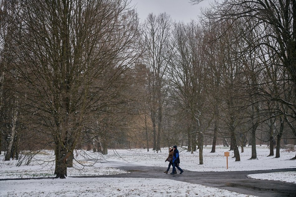 Łódź. Ogród Botaniczny w Łodzi