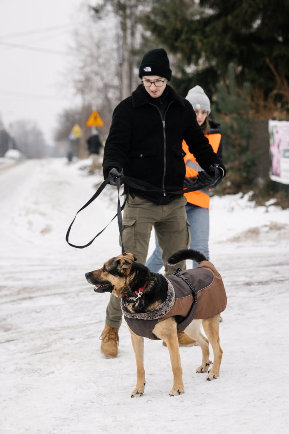 Łódź. Psy ze schroniska w Łodzi znów na spacerze! Dla tych wesołych pyszczków aż chce się chodzić!