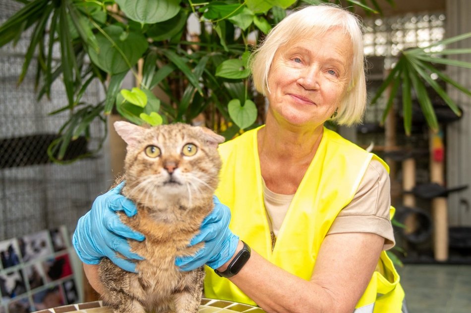 Bądź jak pani Krystyna, która została wolontariuszką w schronisku w Łodzi