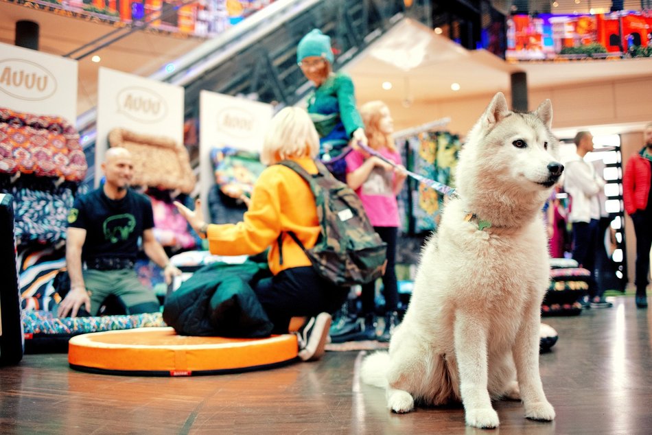 Weekend w Łodzi 21-23 listopada