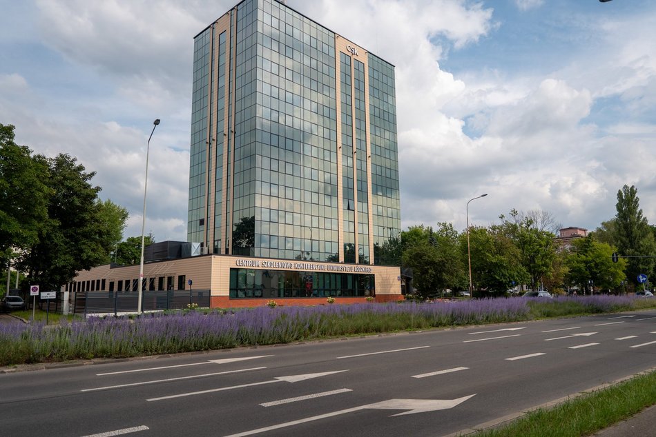 Perowskia łobodolistna przy Uniwersyteckiej!