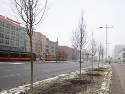 Łódź. Jeszcze więcej zieleni w mieście z ŁBO