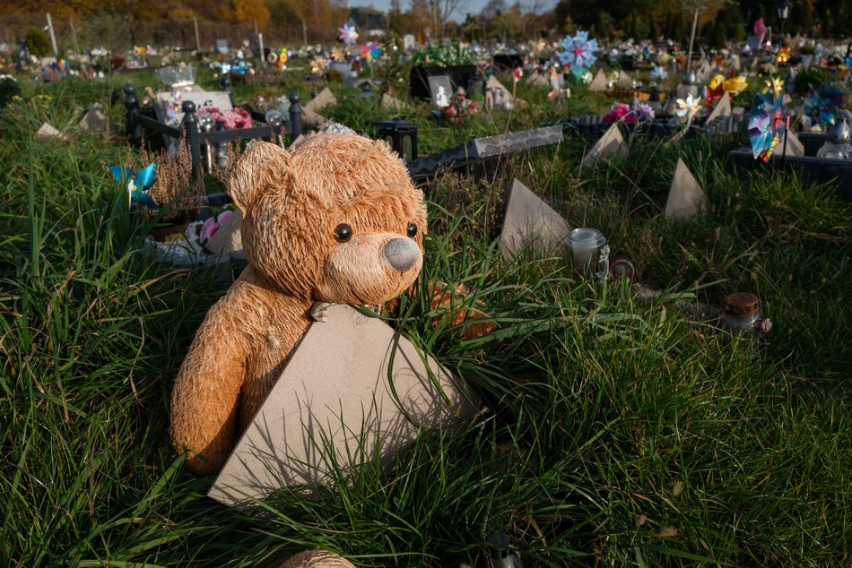 Cmentarz dla zwierząt w Łodzi