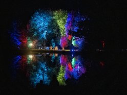 Łódź. Noc Świętojańska w Ogrodzie Botanicznym w Łodzi