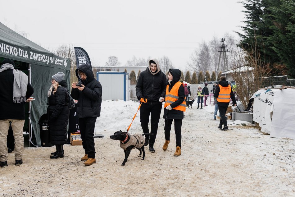Łódź. Psy ze schroniska w Łodzi znów na spacerze! Dla tych wesołych pyszczków aż chce się chodzić!