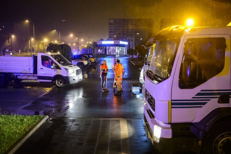 Łódź. Wielkie sprzątanie po Łódź Summer Festival 2025. Służby porządkowe zdały egzamin!