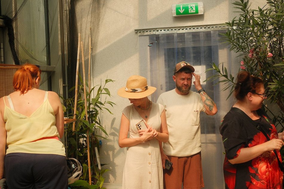 Łódź. Motyle z tropików na długi weekend. Kolorowa wystawa w Palmiarni