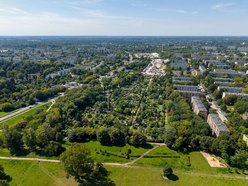 Łódź. Rodzinne Ogrody Działkowe w Łodzi. Miejsca relaksu z prawdziwą ekomisją