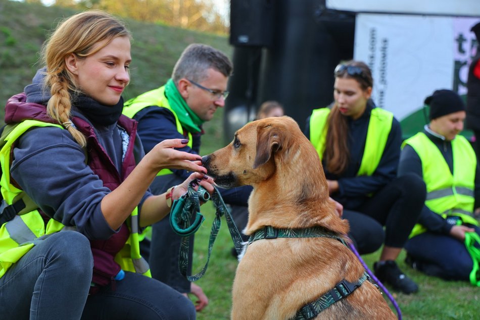 Światowy Dzień Zwierząt na Starym Rynku