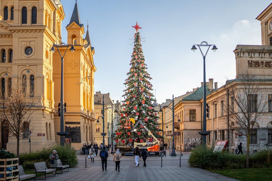 Łódź. Choinka na Piotrkowskiej prawie gotowa