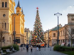 Łódź. Choinka na Piotrkowskiej prawie gotowa