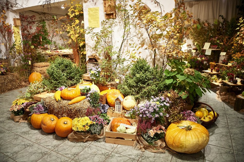 Wydarzenia na weekend w Łodzi