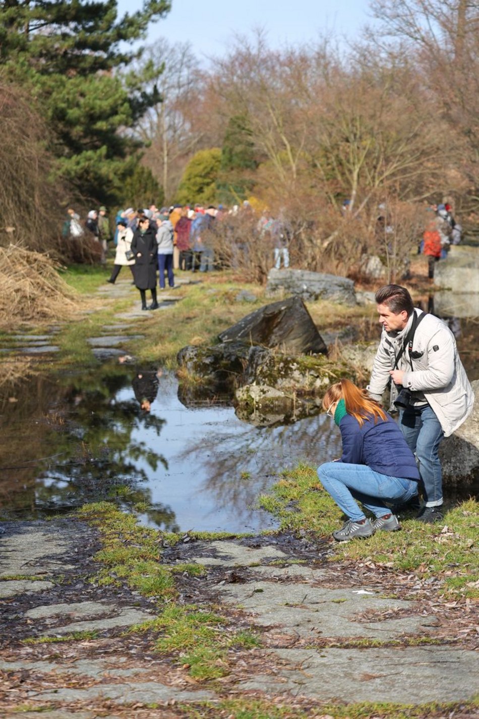 ogród botaniczny