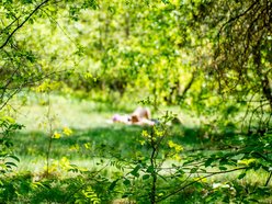 grupa ludzi spaceruje w naturze