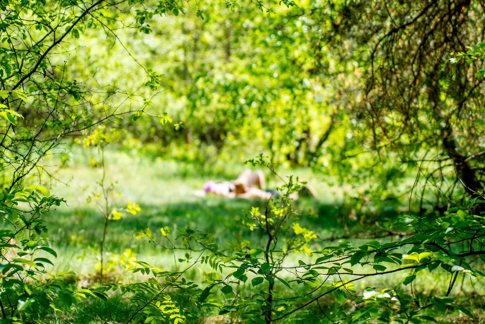 grupa ludzi spaceruje w naturze