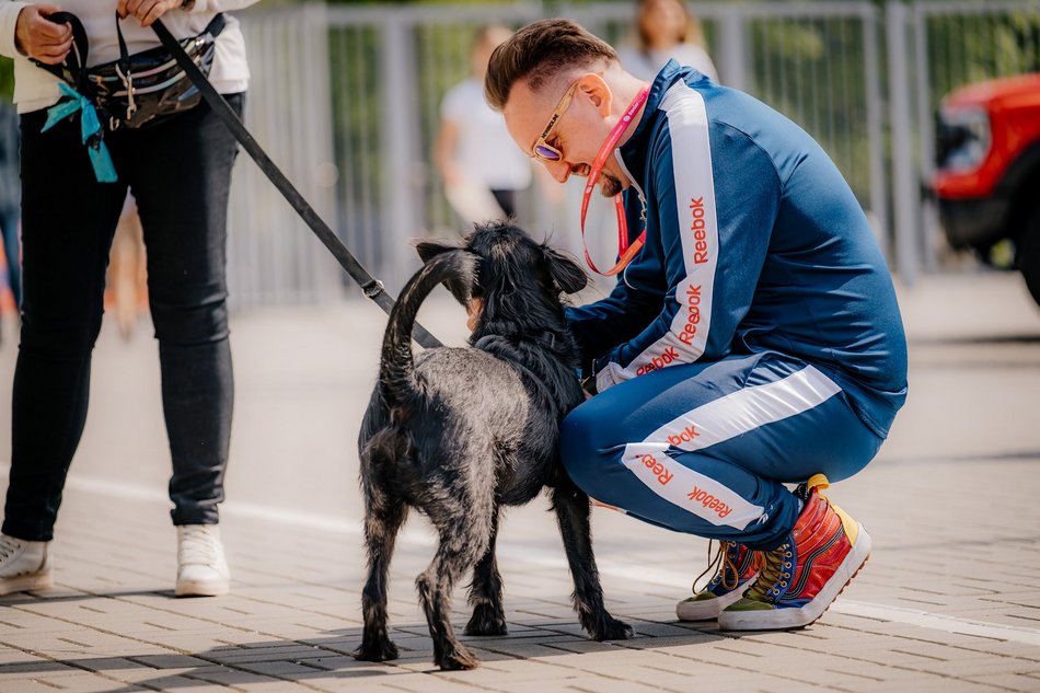 DOZ Maraton Łódź 2024