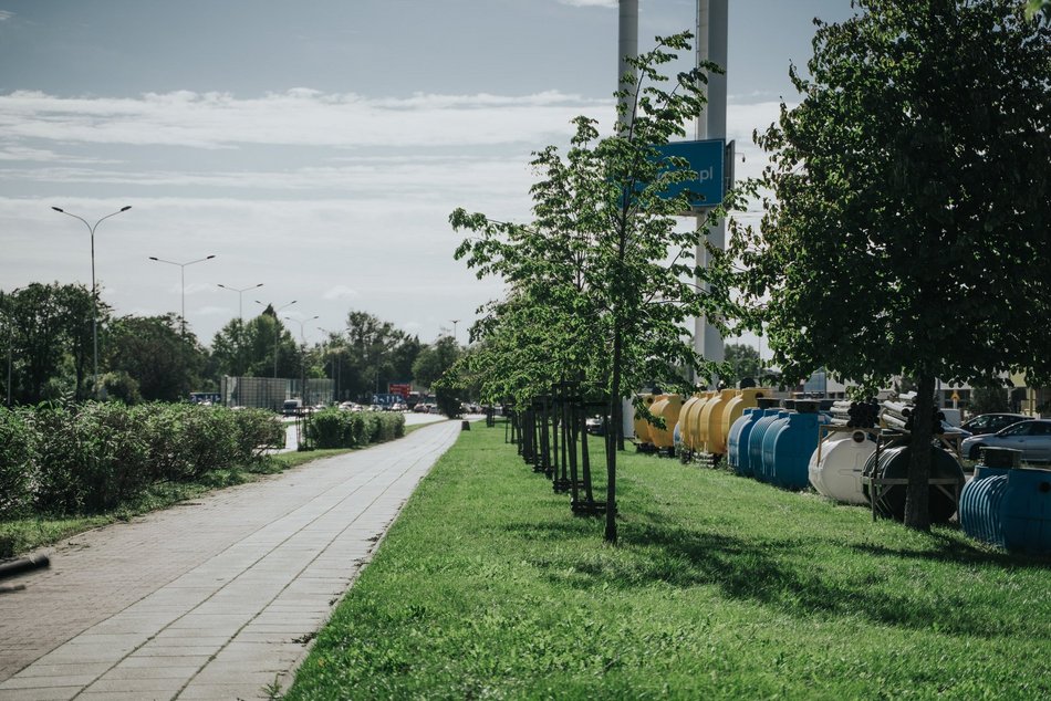 Łodź. Aleja Jana Pawła II w Łodzi - w tym miejscu pojawią się nowe drzewa