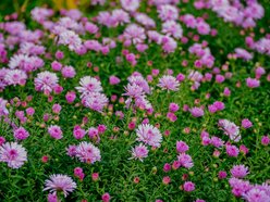 Łódź. Jesień w Ogrodzie Botanicznym w Łodzi. Tam z pewnością pokochasz tę porę roku!