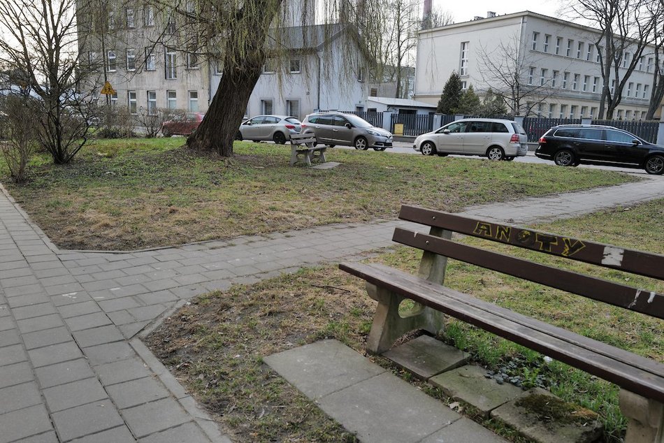Łódź. Ulica Skrzywana w Łodzi będzie jeszcze zieleńsza! Nowy skwer w ramach Budżetu Obywatelskiego Łódź
