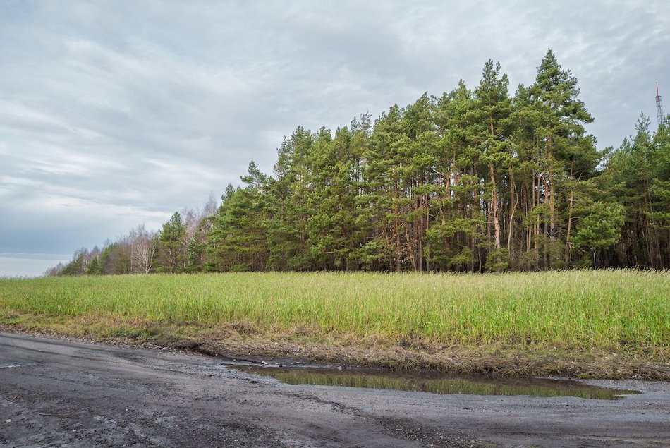 Łódź. Remonty gruntówek w Łodzi w 2026 roku