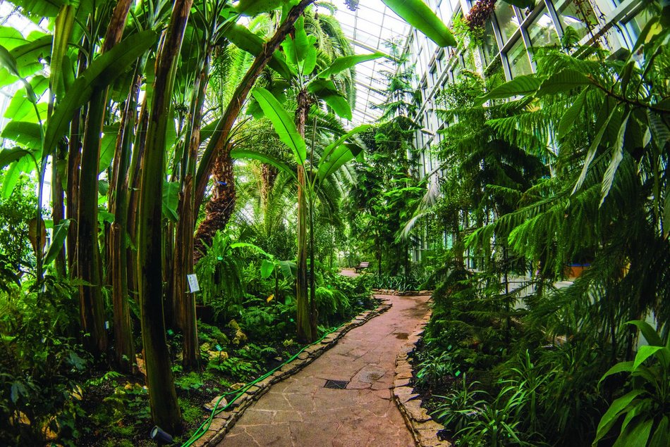 Łódź. Palmiarnia w Łodzi