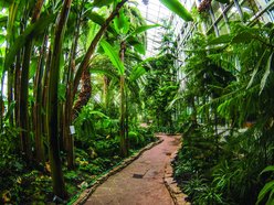 Łódź. Palmiarnia w Łodzi