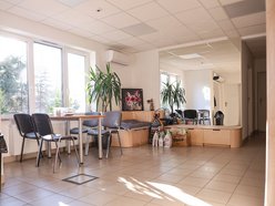 Łódź. Nowa przestrzeń adopcyjna w schronisku w Łodzi