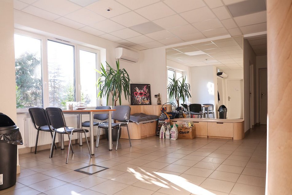 Łódź. Nowa przestrzeń adopcyjna w schronisku w Łodzi