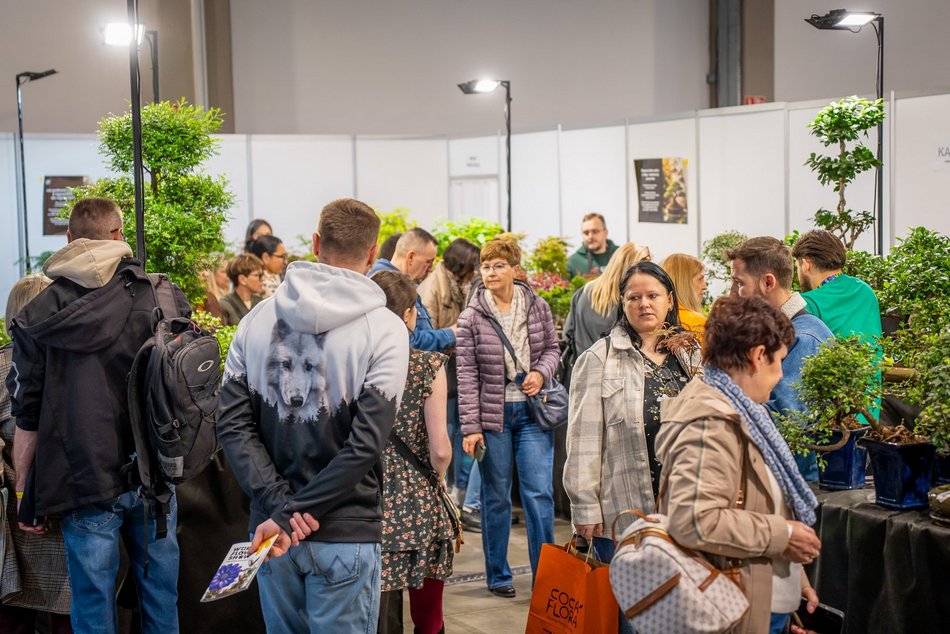 Łódź. World Flower Show w hali Expo Łódź. Przyjdź i zobacz orchidee, drzewa bonsai i sukulenty