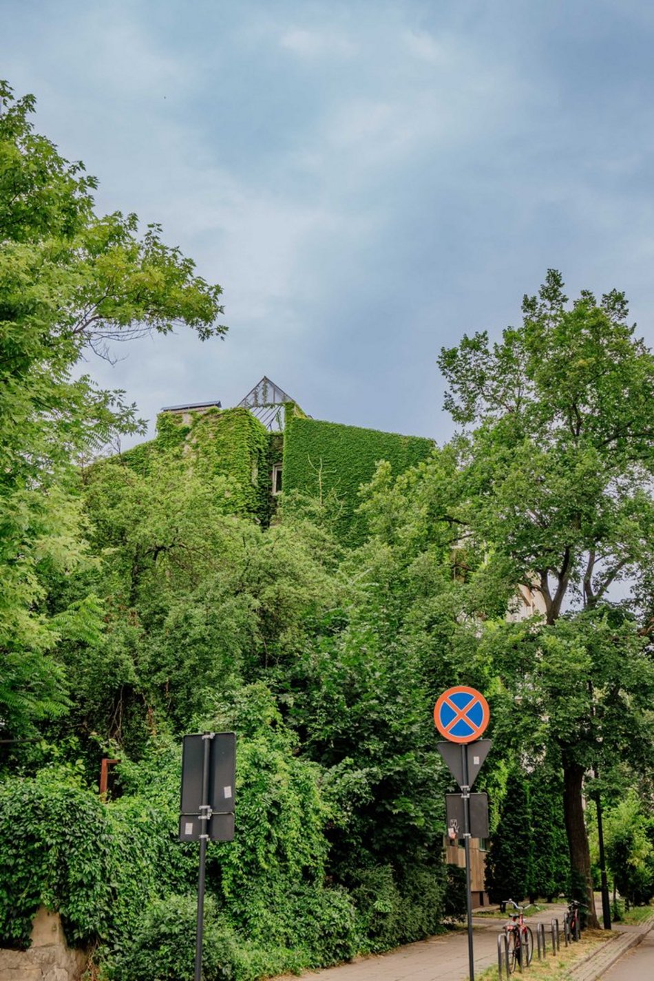 Łódź. To najbardziej zielona kamienica w Łodzi. Ten widok zapiera dech!