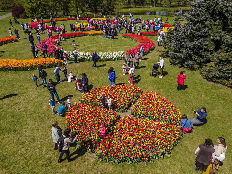 Ogród Botaniczny w Łodzi. Łodzianie na wyjątkowych zdjęciach z okazji 600. Urodzin! [ZDJĘCIA]