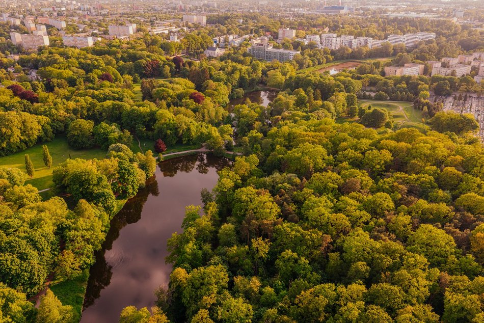 Park Julianowski skąpany w słońcu. Skusisz się na popołudniowy spacer?