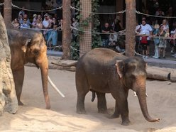 Łódź. O ochronie przyrody w Orientarium Zoo Łódź. Międzynarodowa konferencja EAZA 2025