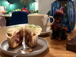 Łódź. Merdająca Filiżanka w Łodzi. Kawiarnia dla miłośników psów i ich czworonogów