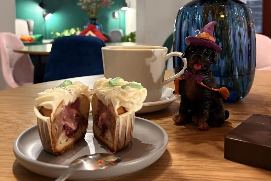 Łódź. Merdająca Filiżanka w Łodzi. Kawiarnia dla miłośników psów i ich czworonogów