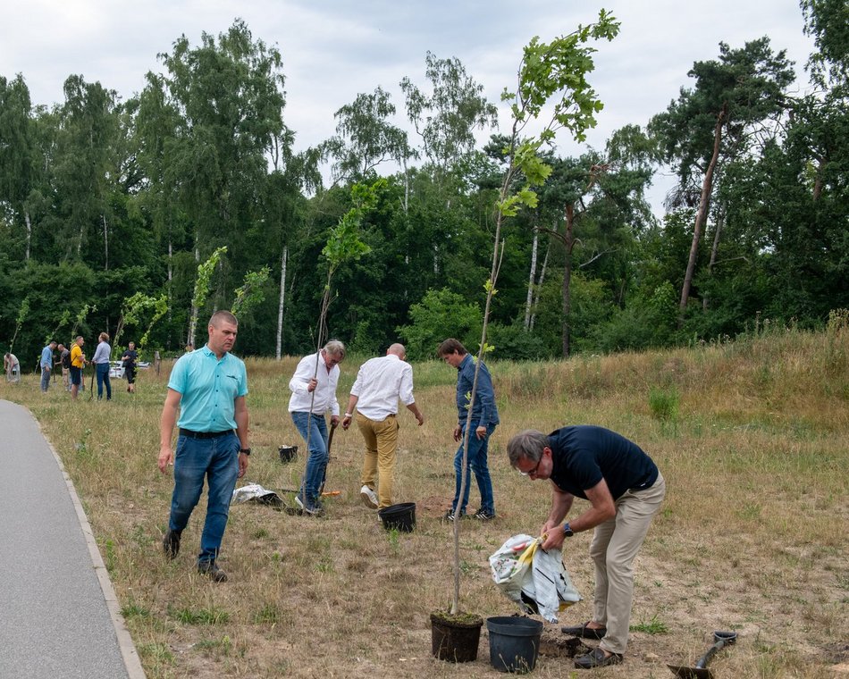 600 dębów na 600. Urodziny Łodzi