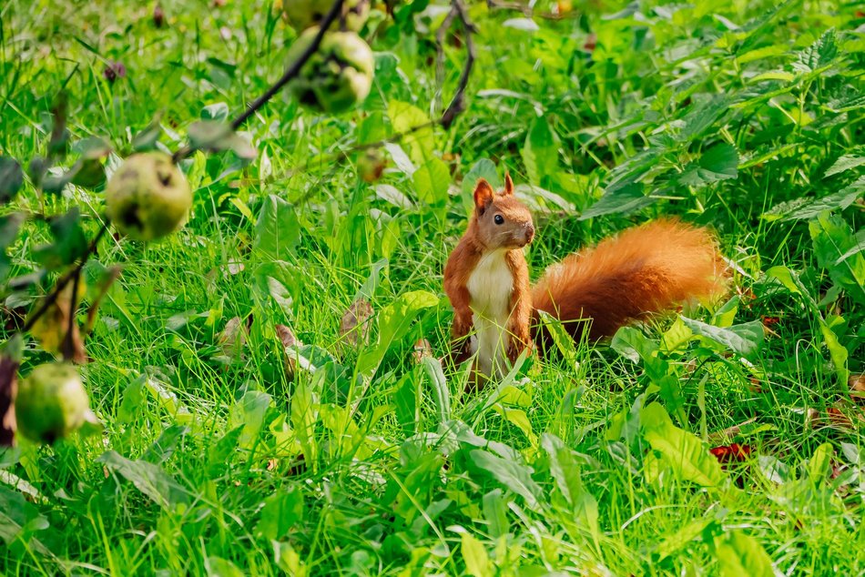 Łódź. Jesień w Ogrodzie Botanicznym w Łodzi. Tam z pewnością pokochasz tę porę roku!