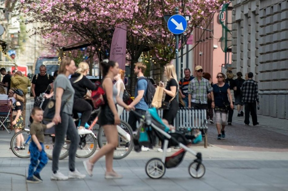 Zjawiskowy woonerf 6 sierpnia w Łodzi w wiosennych szatach! Rozkwitły wiśnie kanzan!