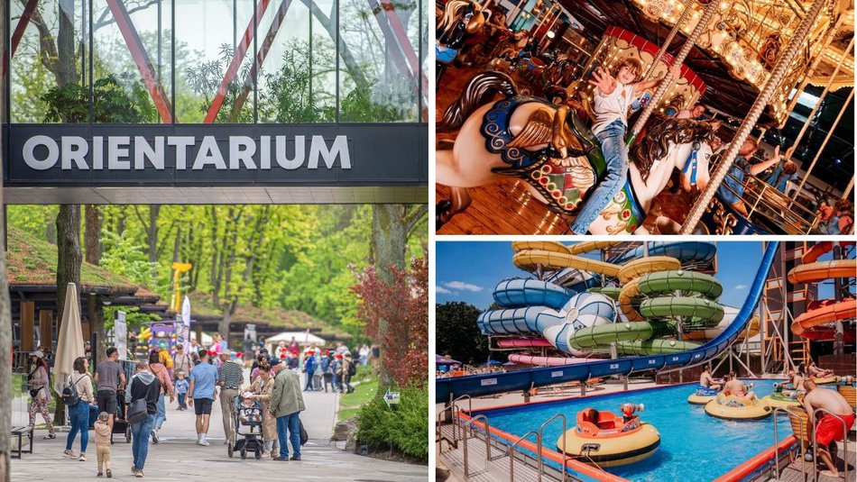 Orientarium Zoo Łódź, Aquapark Fala i Mandoria na jednym bilecie