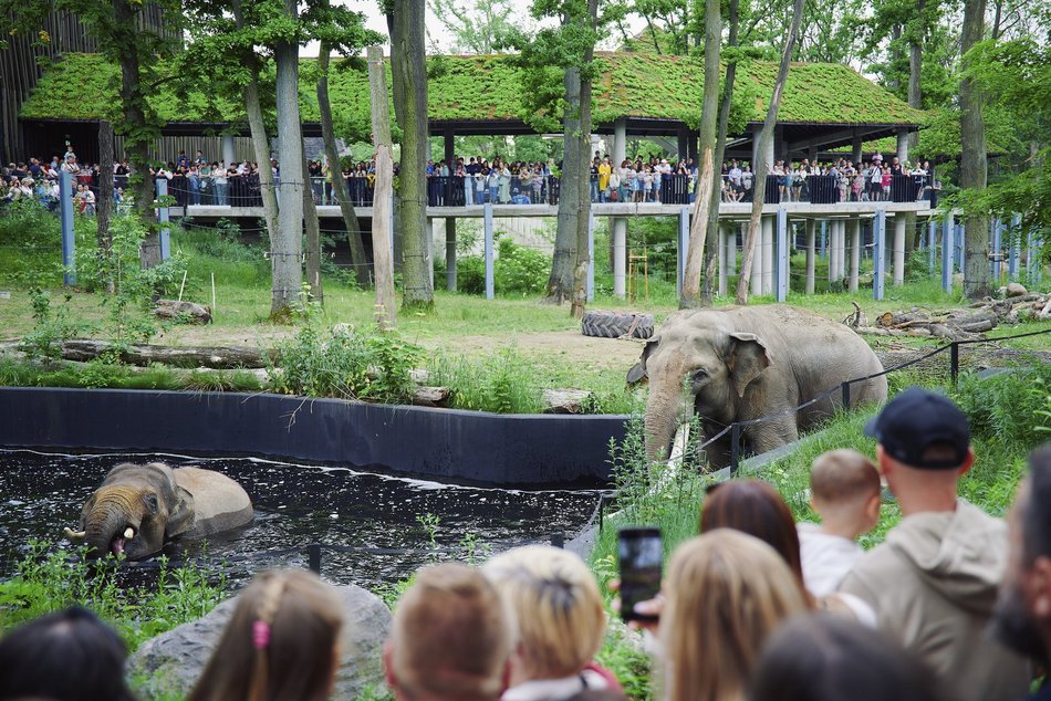 Łódź. Orientarium Zoo Łódź