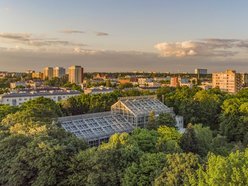 Łodź. Palmiarnia w Łodzi