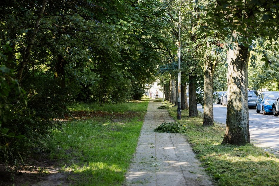 Łódź. Prace pielęgnacyjne w parku przy Leczniczej w Łodzi. Będzie ładniej i wygodniej!
